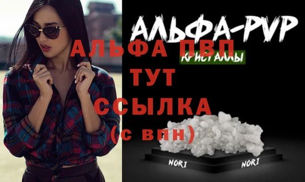 сатива Абаза
