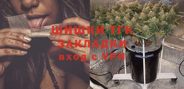 сатива Абаза